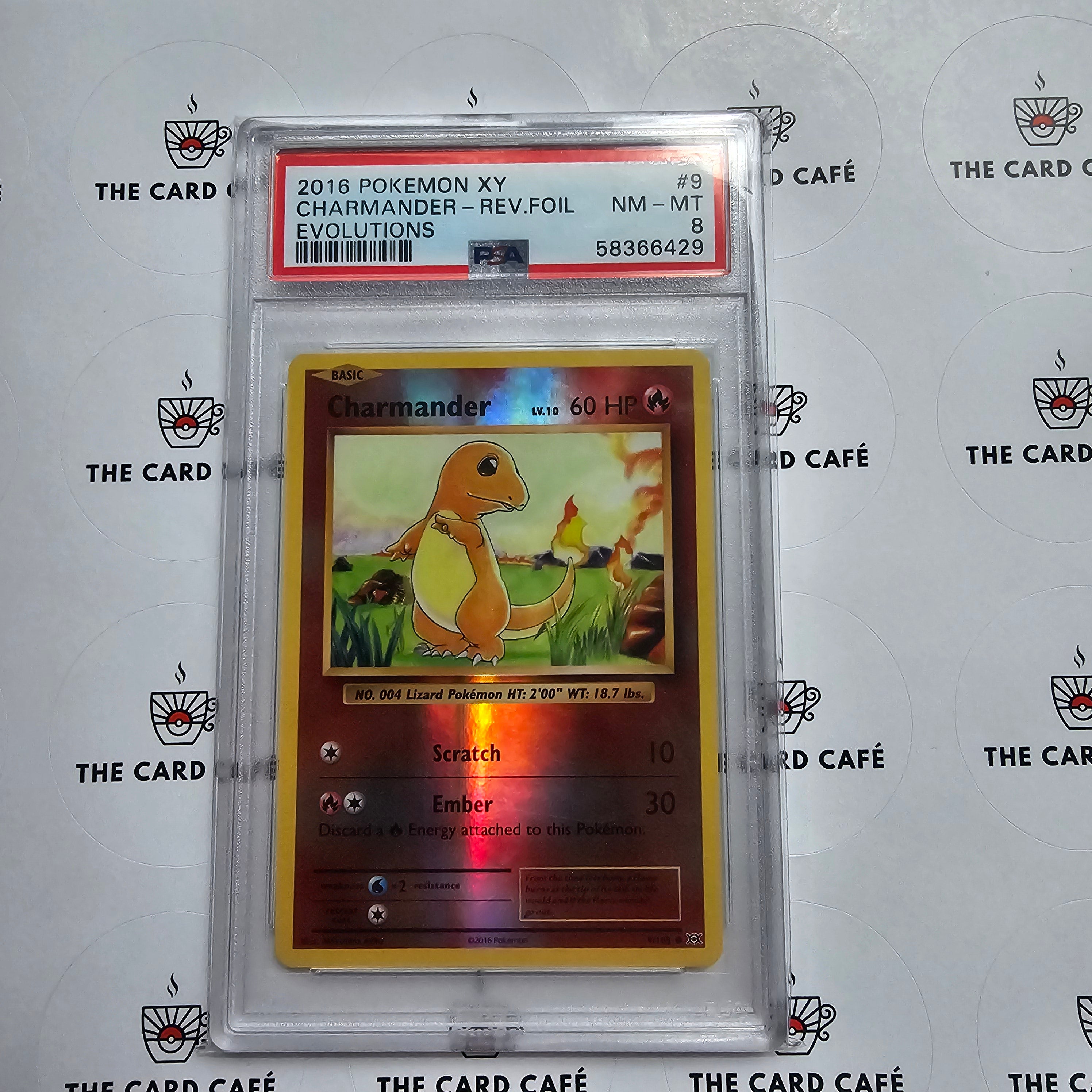 Charmander - Evolutions - Reverse Foil - 9/108 - PSA 8