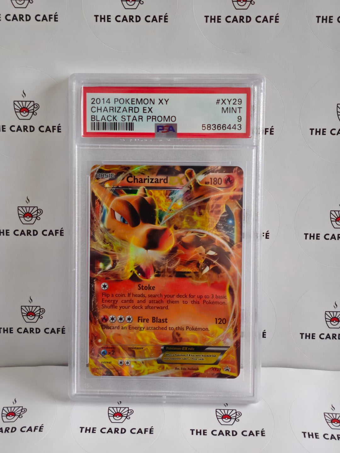 Charizard EX - XY Black Star Promo BSP - XY29 - PSA 9